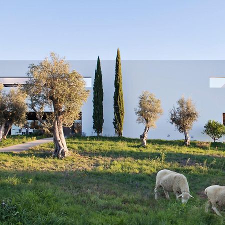 Villa Extramuros Arraiolos Eksteriør bilde